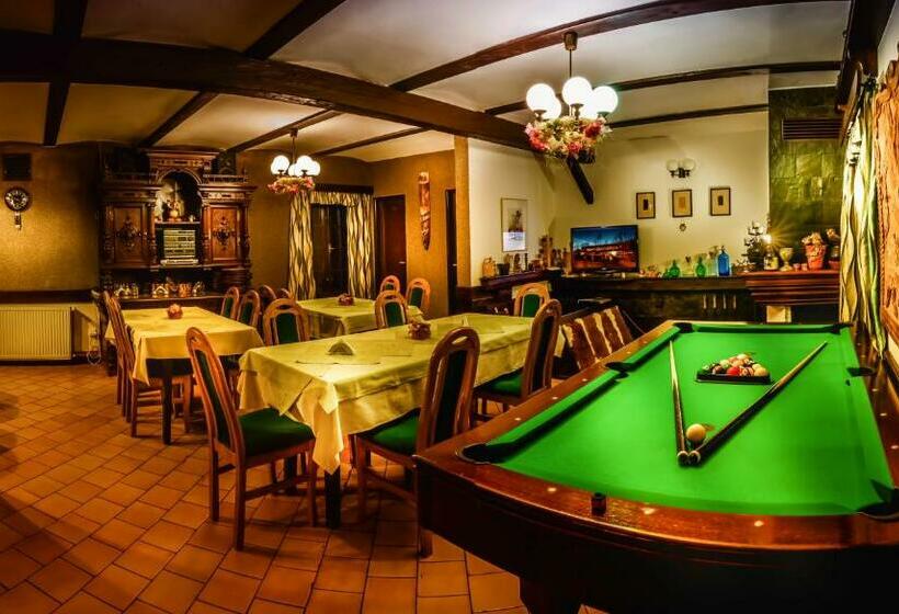 بنسيون Penzion U Sovy