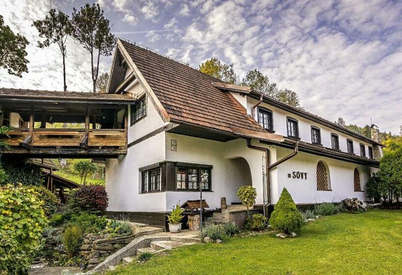 بنسيون Penzion U Sovy