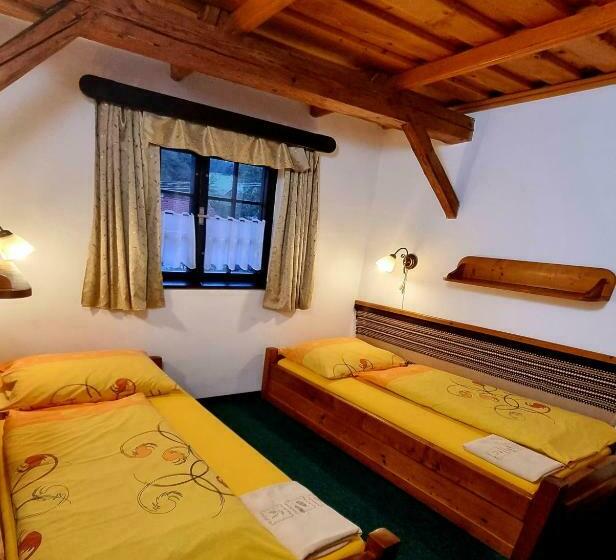 بنسيون Penzion U Sovy