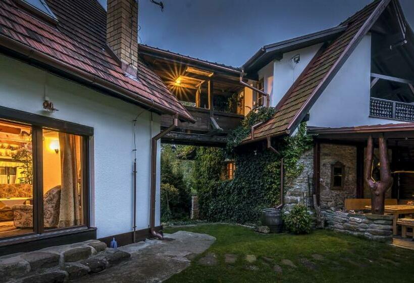 بنسيون Penzion U Sovy