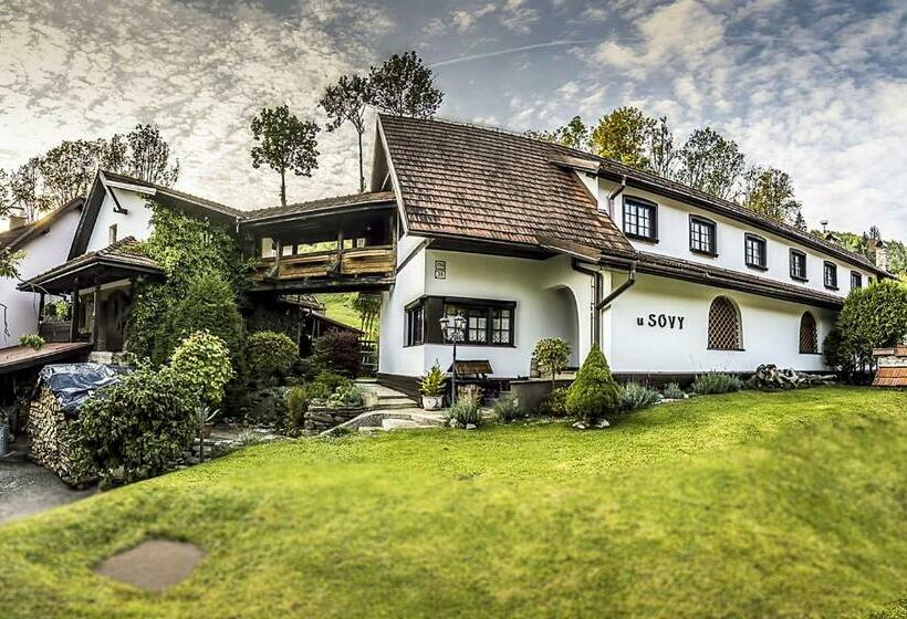 بنسيون Penzion U Sovy