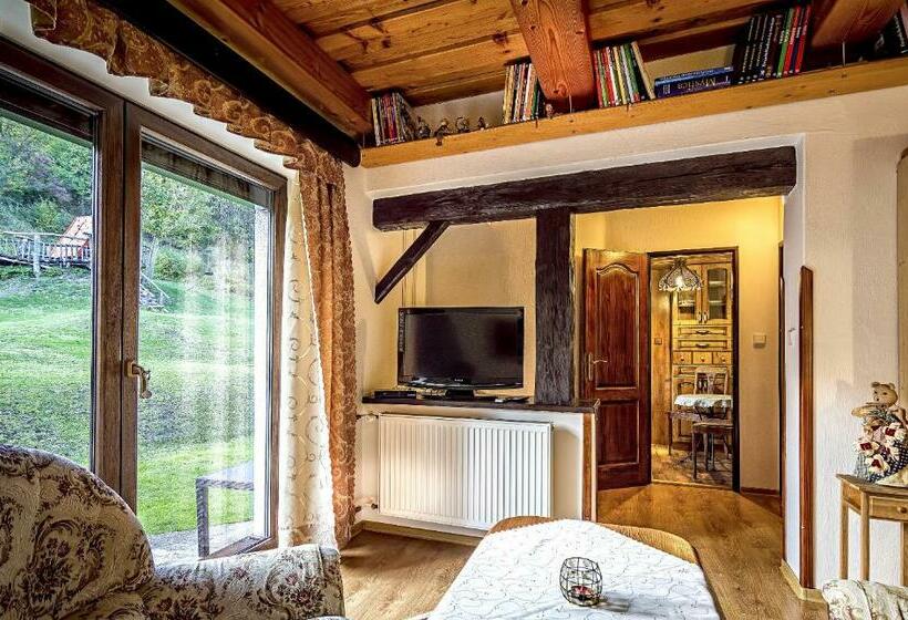 بنسيون Penzion U Sovy