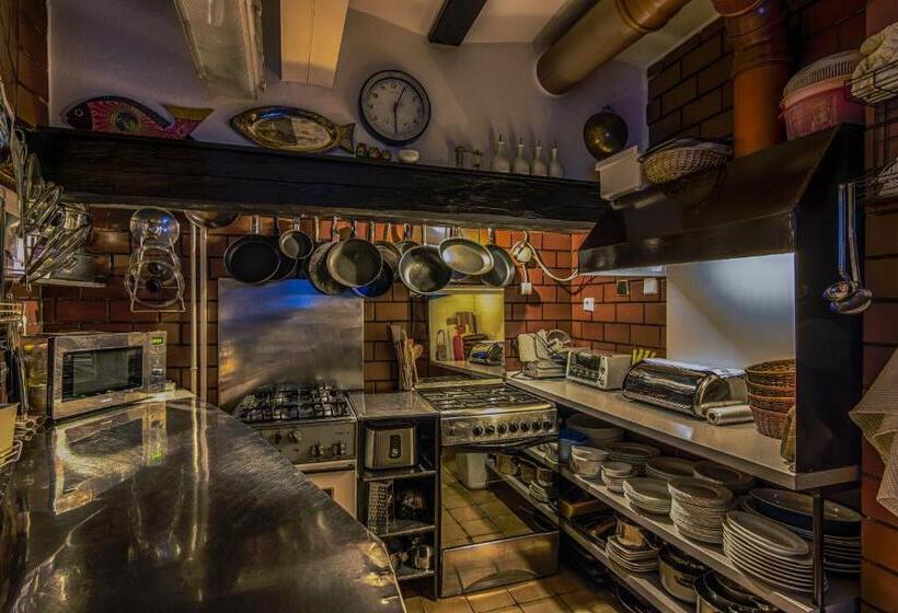 بنسيون Penzion U Sovy