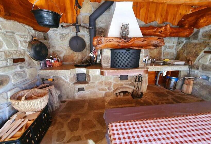 بنسيون Penzion U Sovy