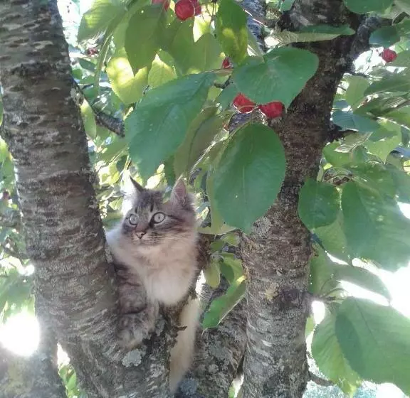 B&b La Ferme De Loubens
