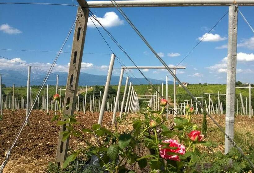 Casa Dell Arciprete B&b