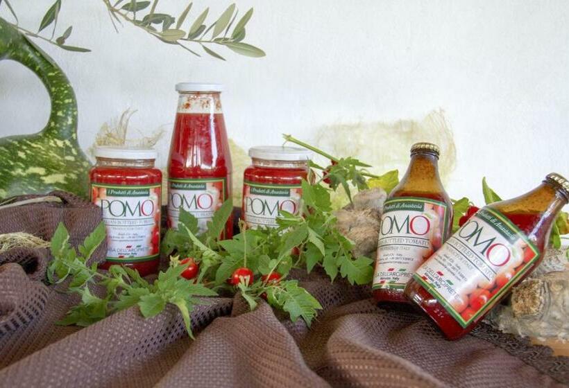 Casa Dell Arciprete B&b