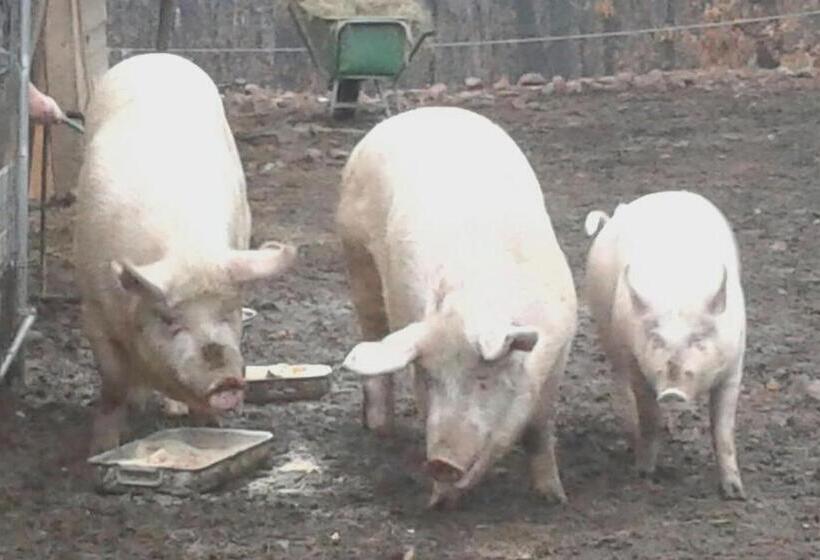 فندق Agriturismo Villa Brugolta