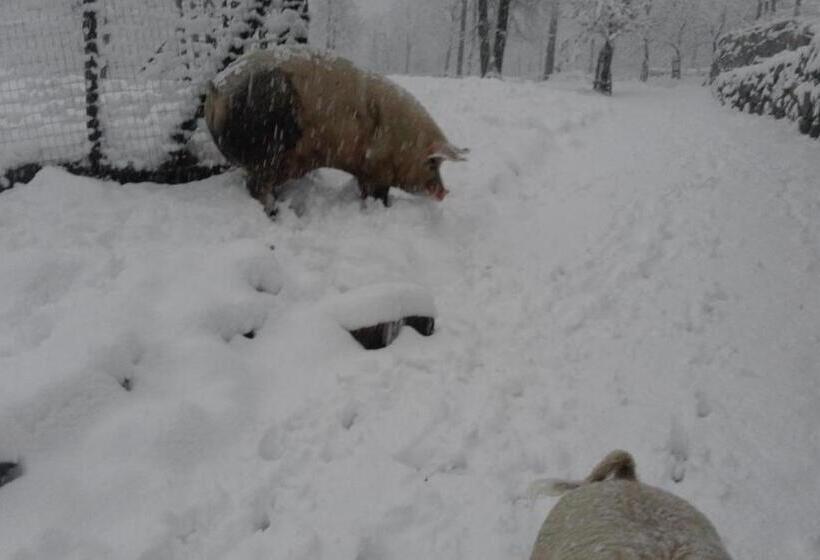 فندق Agriturismo Villa Brugolta