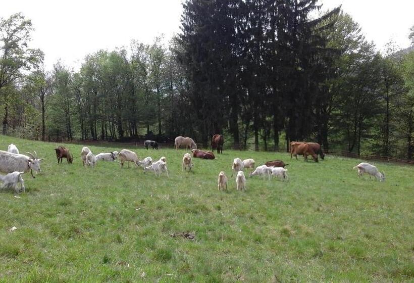 فندق Agriturismo Villa Brugolta