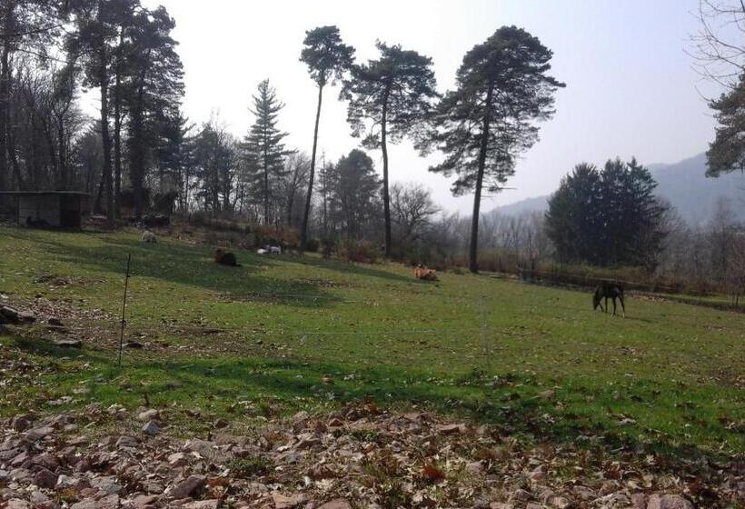 فندق Agriturismo Villa Brugolta