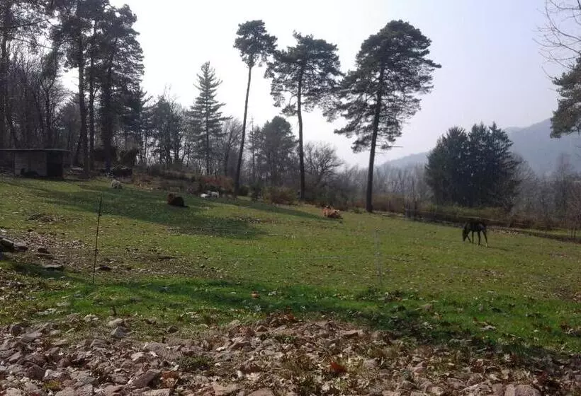 ホテル Agriturismo Villa Brugolta