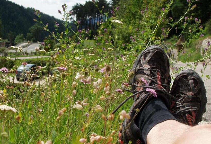 Отель Lenzerhof