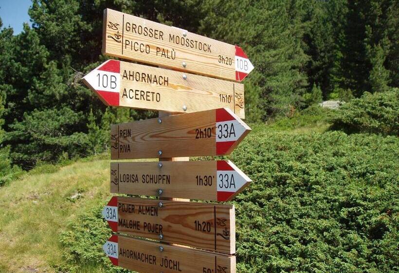 Отель Lenzerhof