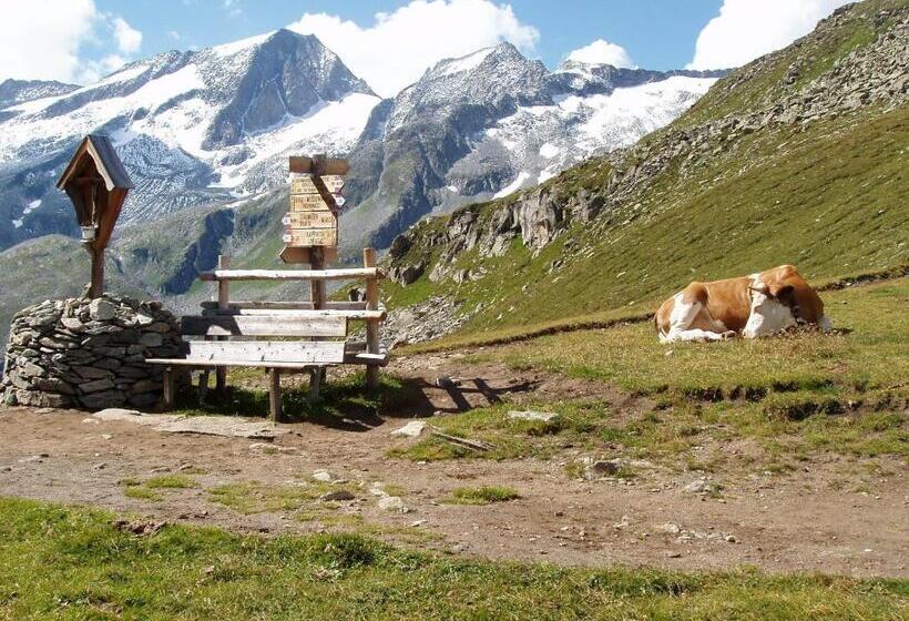 Отель Lenzerhof