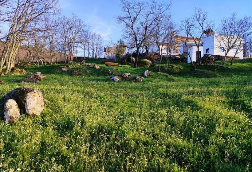 Отель Quinta Dos Carvalhais   Serra Da Estrela