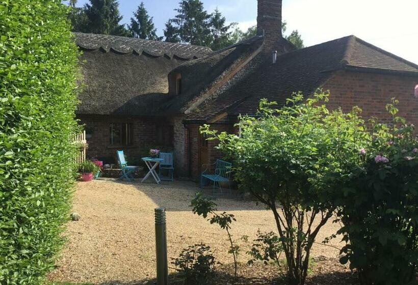 Hotelli Thatched Cottage