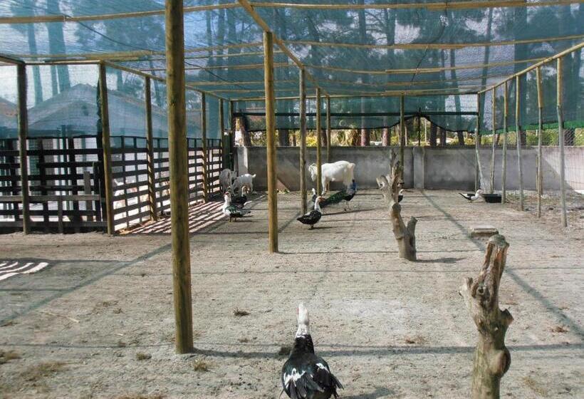 펜션 Lobateira Villas