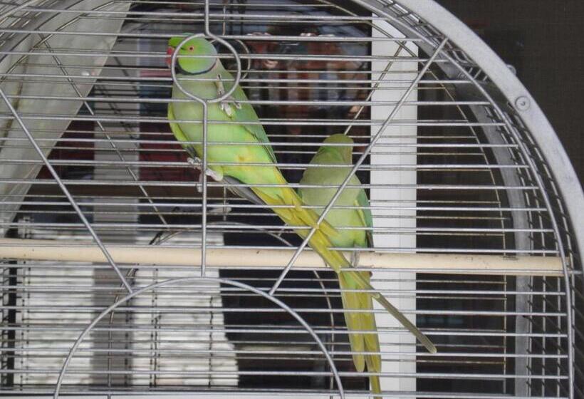 펜션 Lobateira Villas