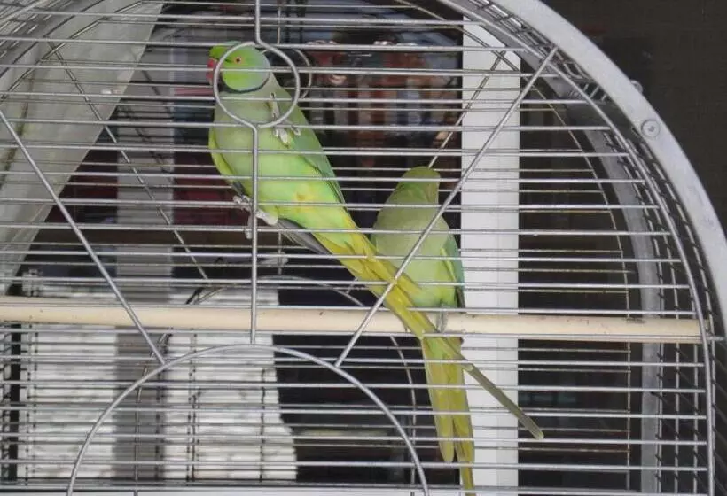 Majatalo Lobateira Villas