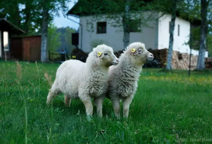 Majatalo Penzion Bázum