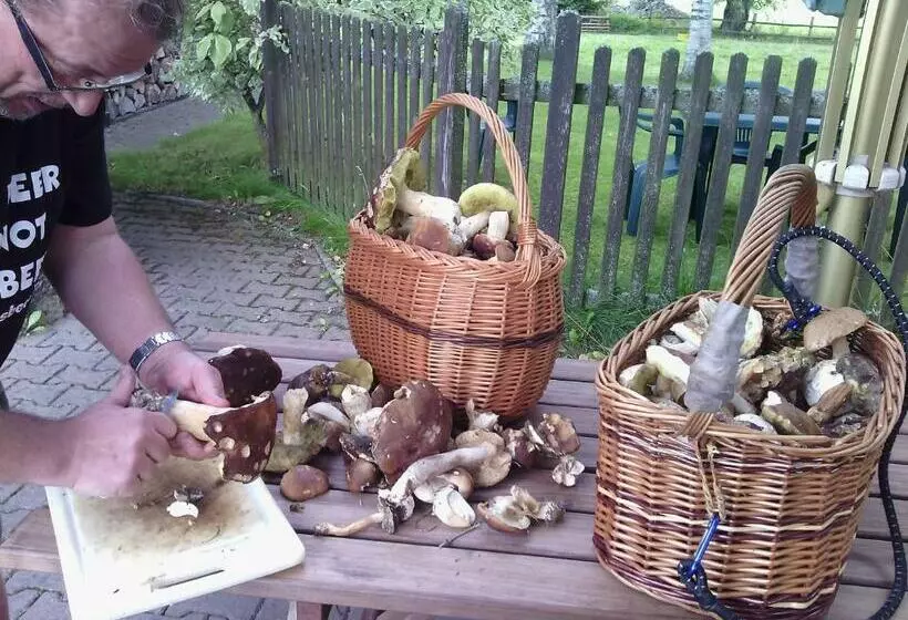 Majatalo Penzion Bázum