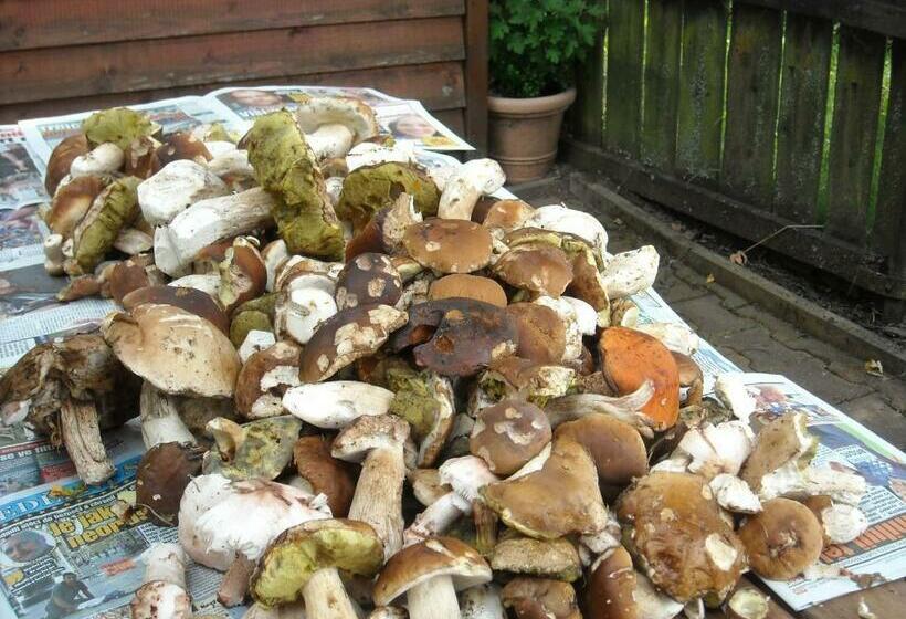 ペンション Penzion Bázum