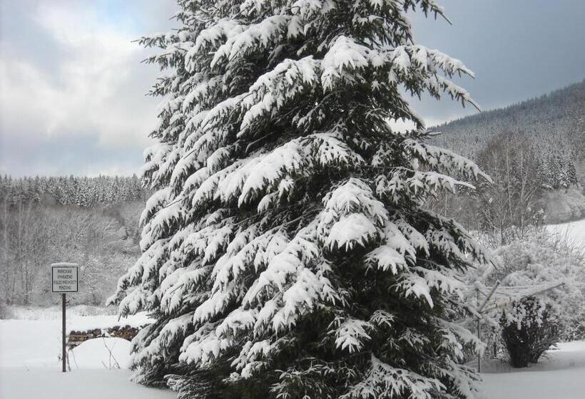 ペンション Penzion Bázum