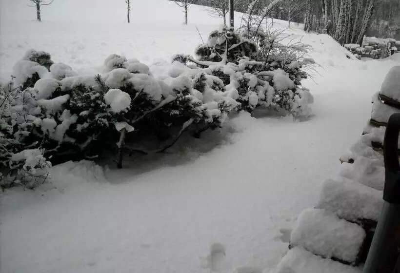 Majatalo Penzion Bázum