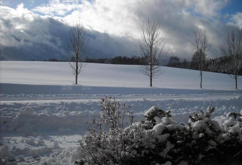 ペンション Penzion Bázum