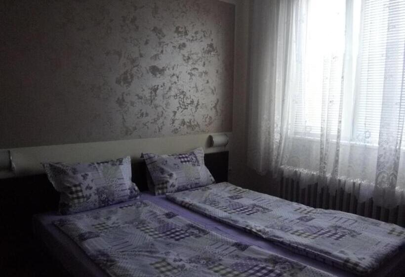 פנסיון Sakutski House