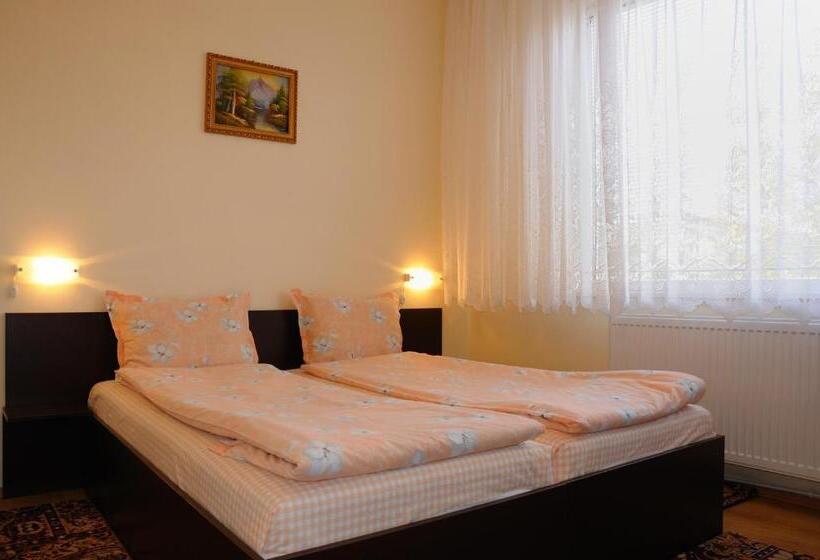 פנסיון Sakutski House