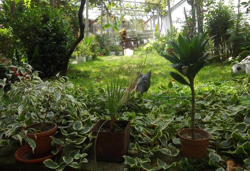 פנסיון Sakutski House