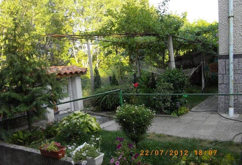 פנסיון Sakutski House