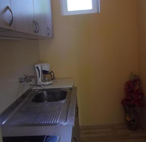 פנסיון Sakutski House