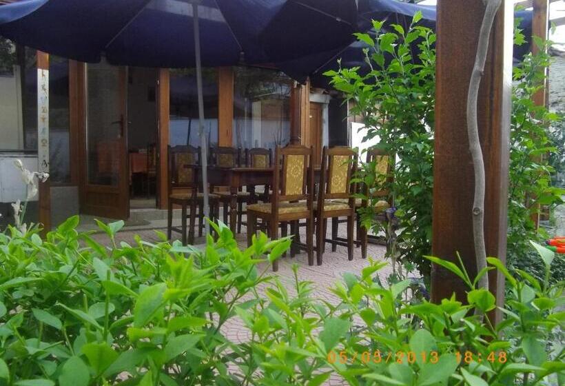 פנסיון Sakutski House