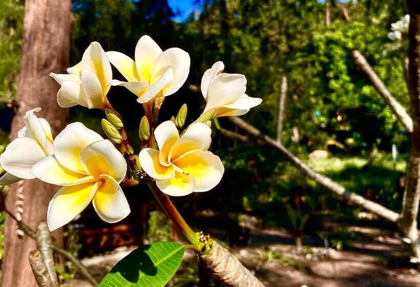 אתר נופש Secret Beach Bungalows