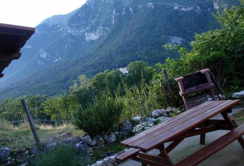 B&b Foresteria Della Certosa