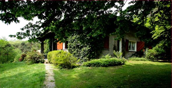 B&b L Albero Maestro