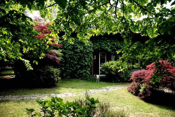 B&b L Albero Maestro