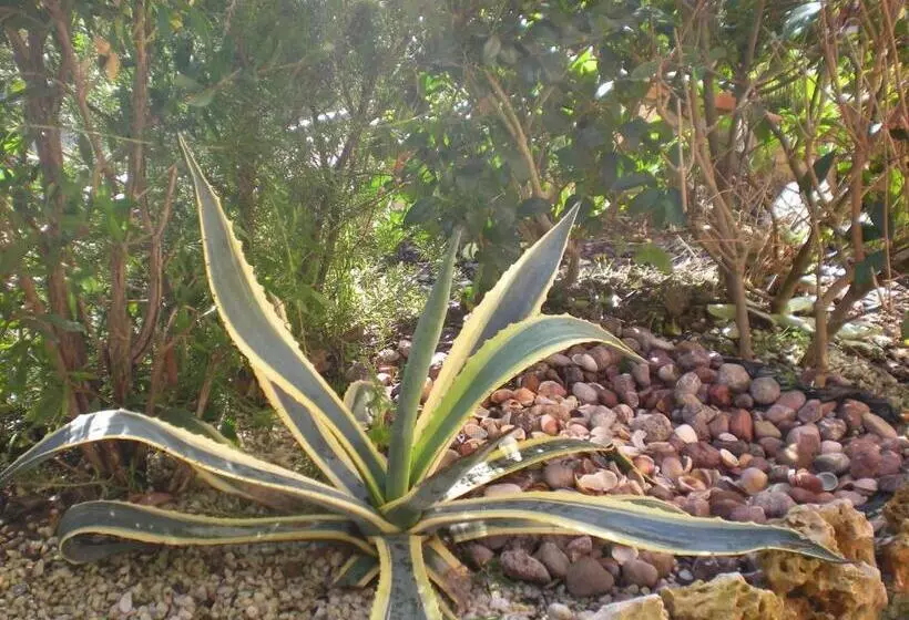 ペンション Il Toscano   Near Grotta Giusti