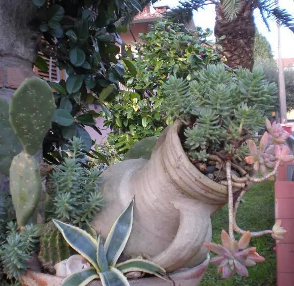 ペンション Il Toscano   Near Grotta Giusti