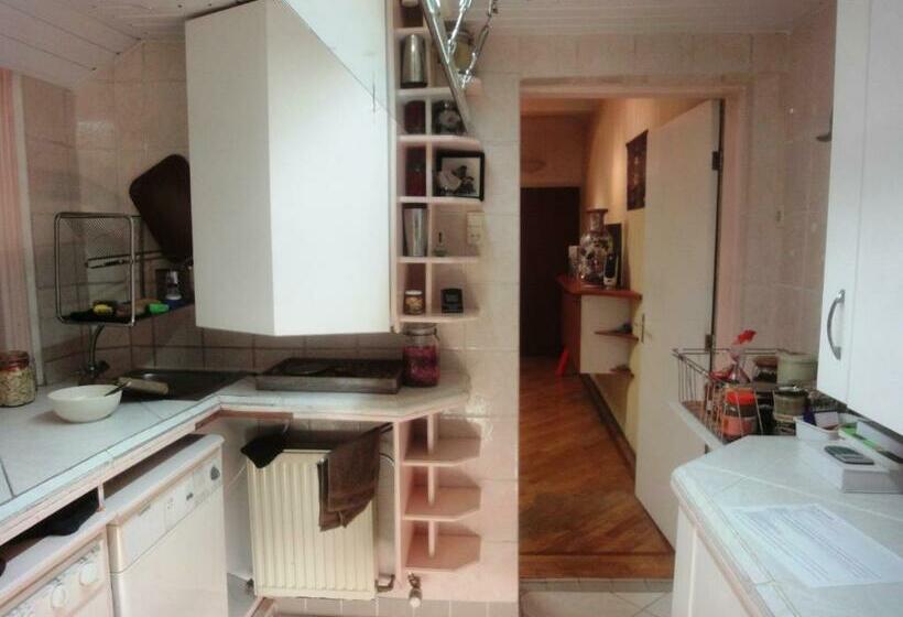 旅馆 Frank S Backpackers