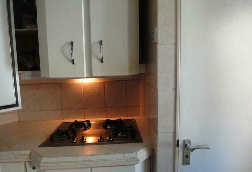 旅馆 Frank S Backpackers