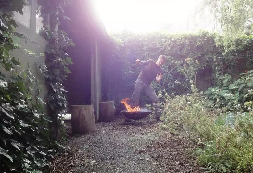 ユースホステル Frank S Backpackers