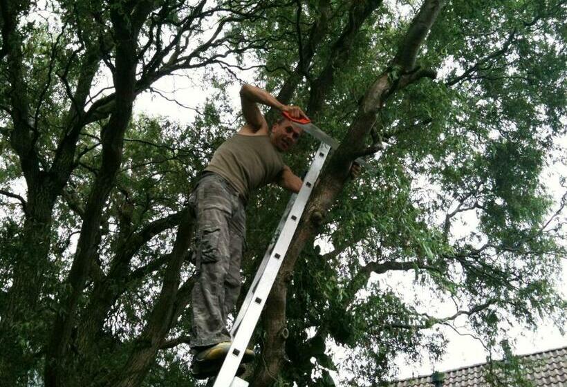 旅馆 Frank S Backpackers