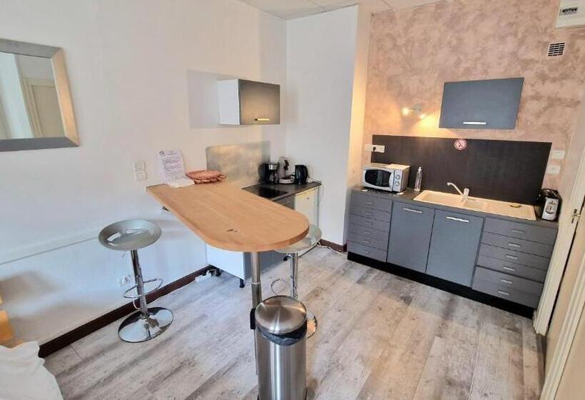 Appart Hôtel Roanne Hyper Centre Ville