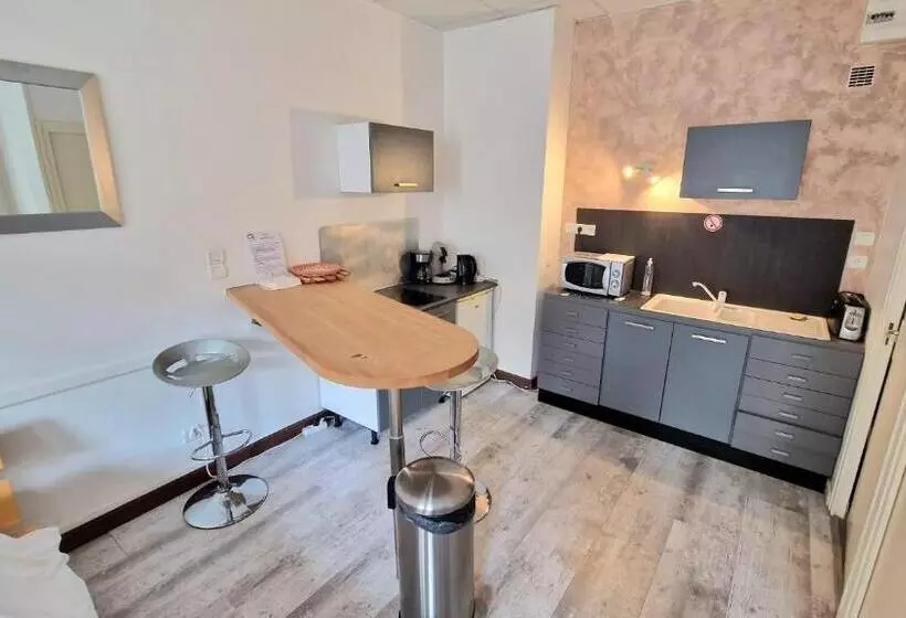 Appart Hôtel Roanne Hyper Centre Ville