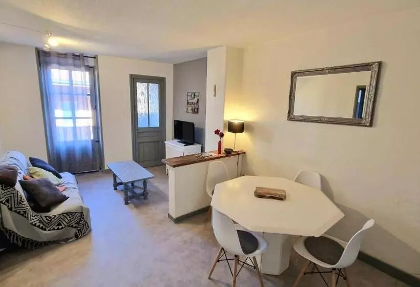 Appart Hôtel Roanne Hyper Centre Ville