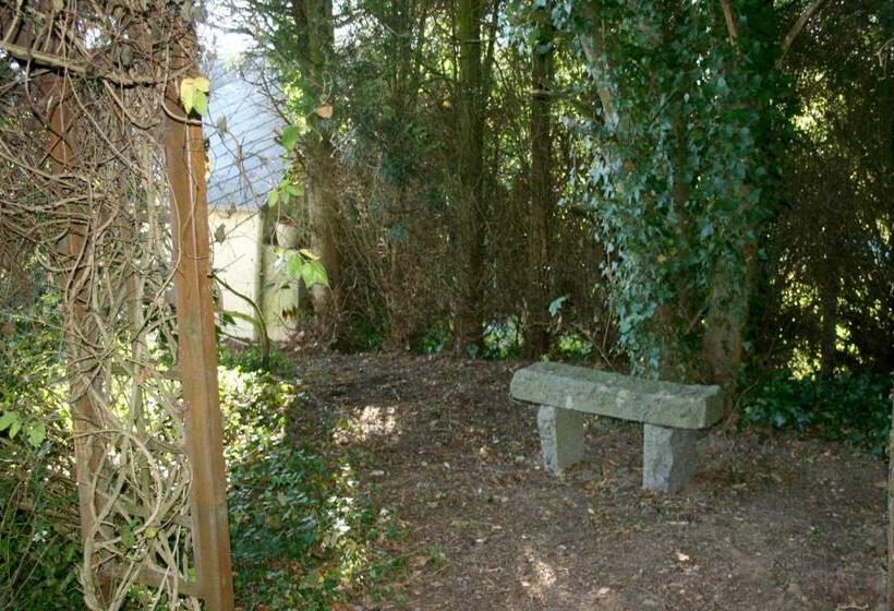 Bed and Breakfast L Anctovillière